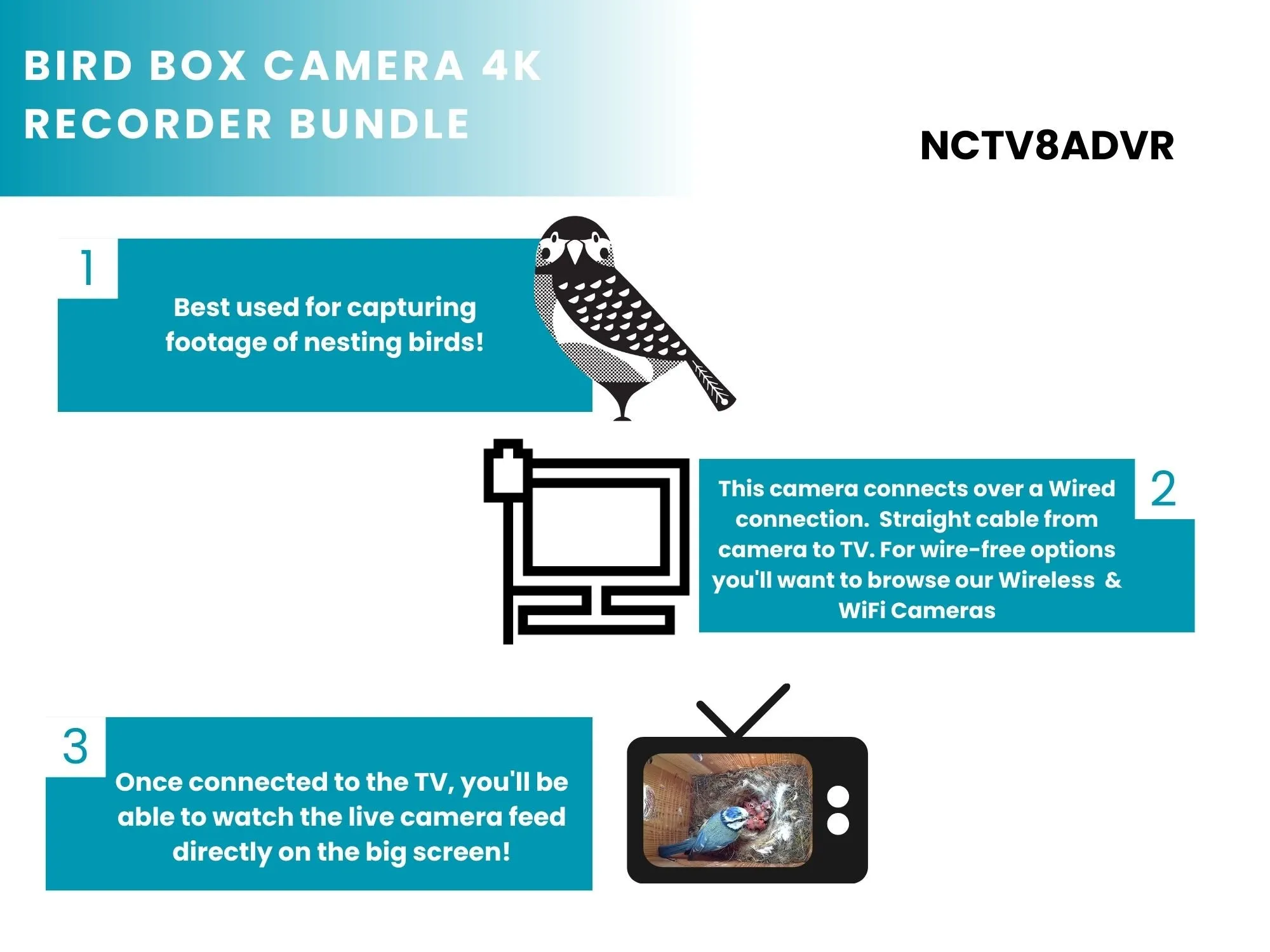 Bird Box & Wildlife 4K Camera Recorder Pack