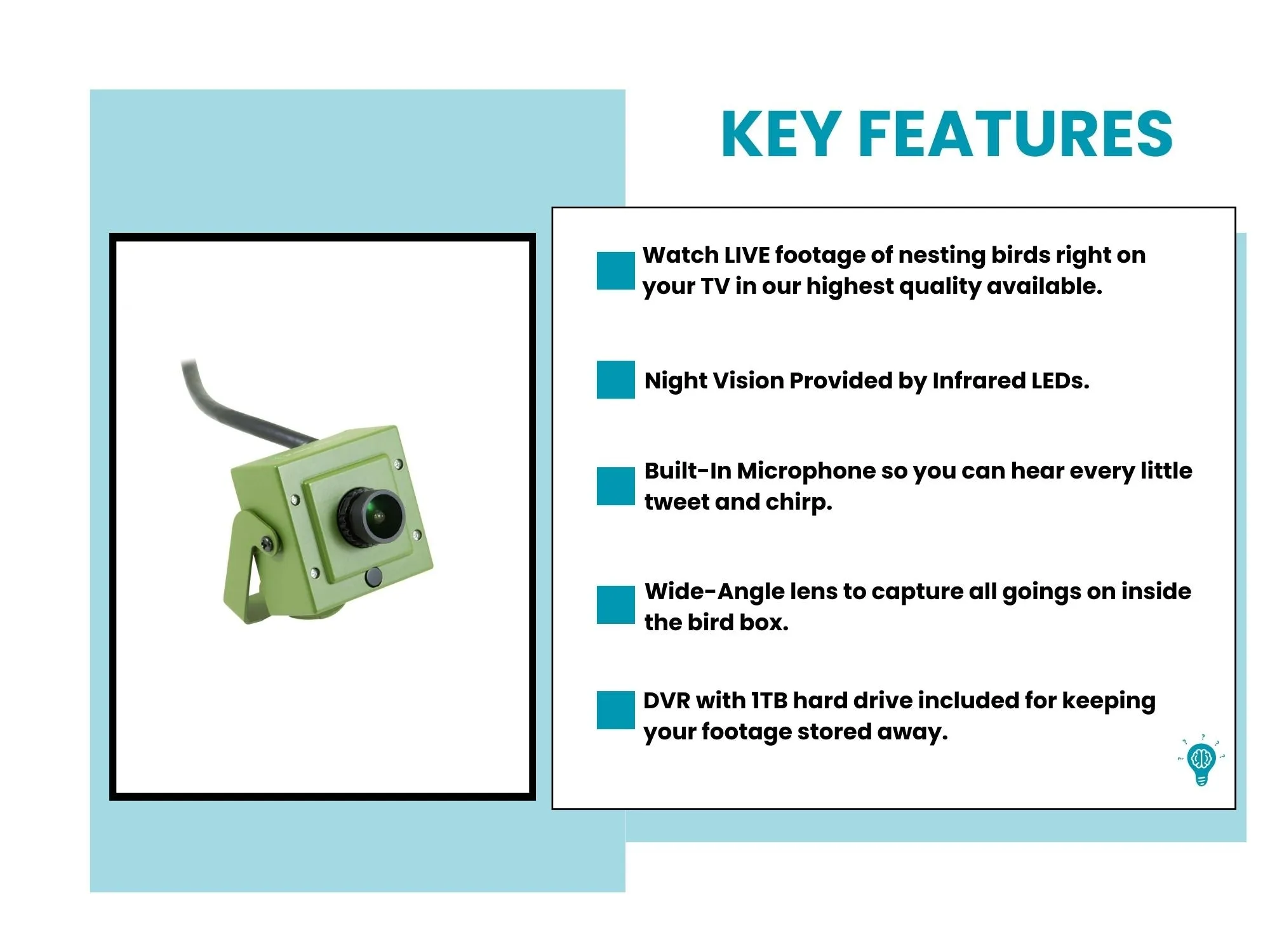 Bird Box & Wildlife 4K Camera Recorder Pack
