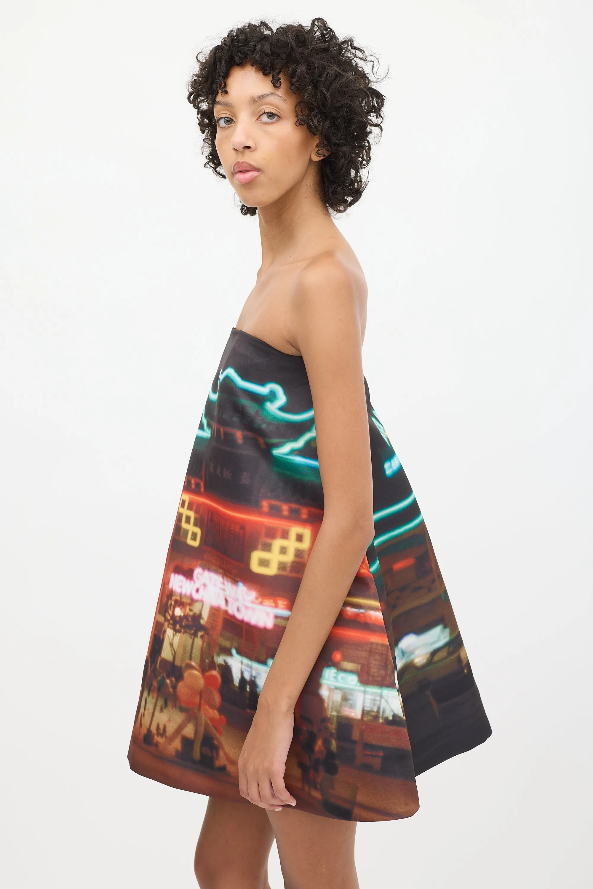 Black & Multicolour Printed Gateway Trapeze Dress