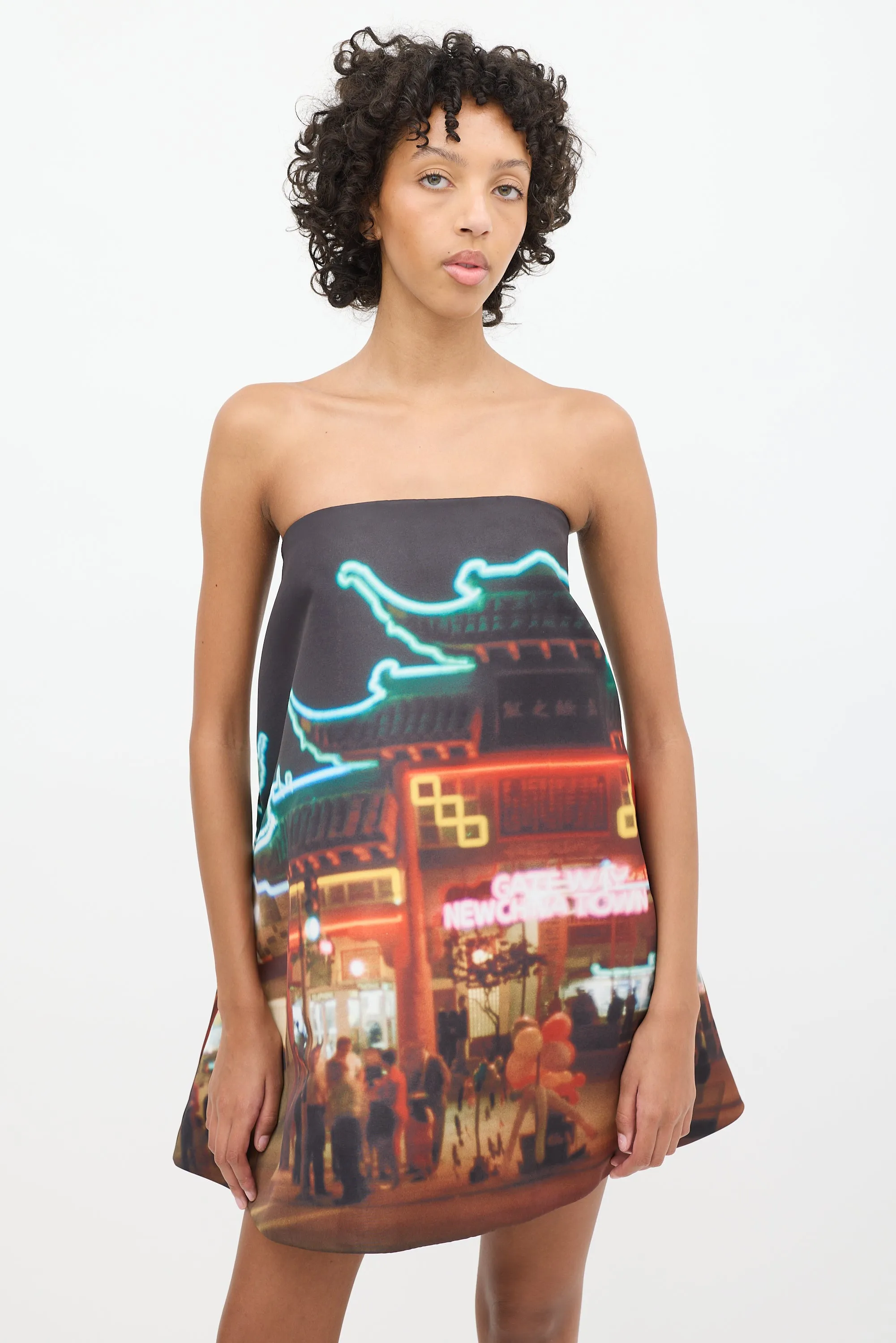 Black & Multicolour Printed Gateway Trapeze Dress