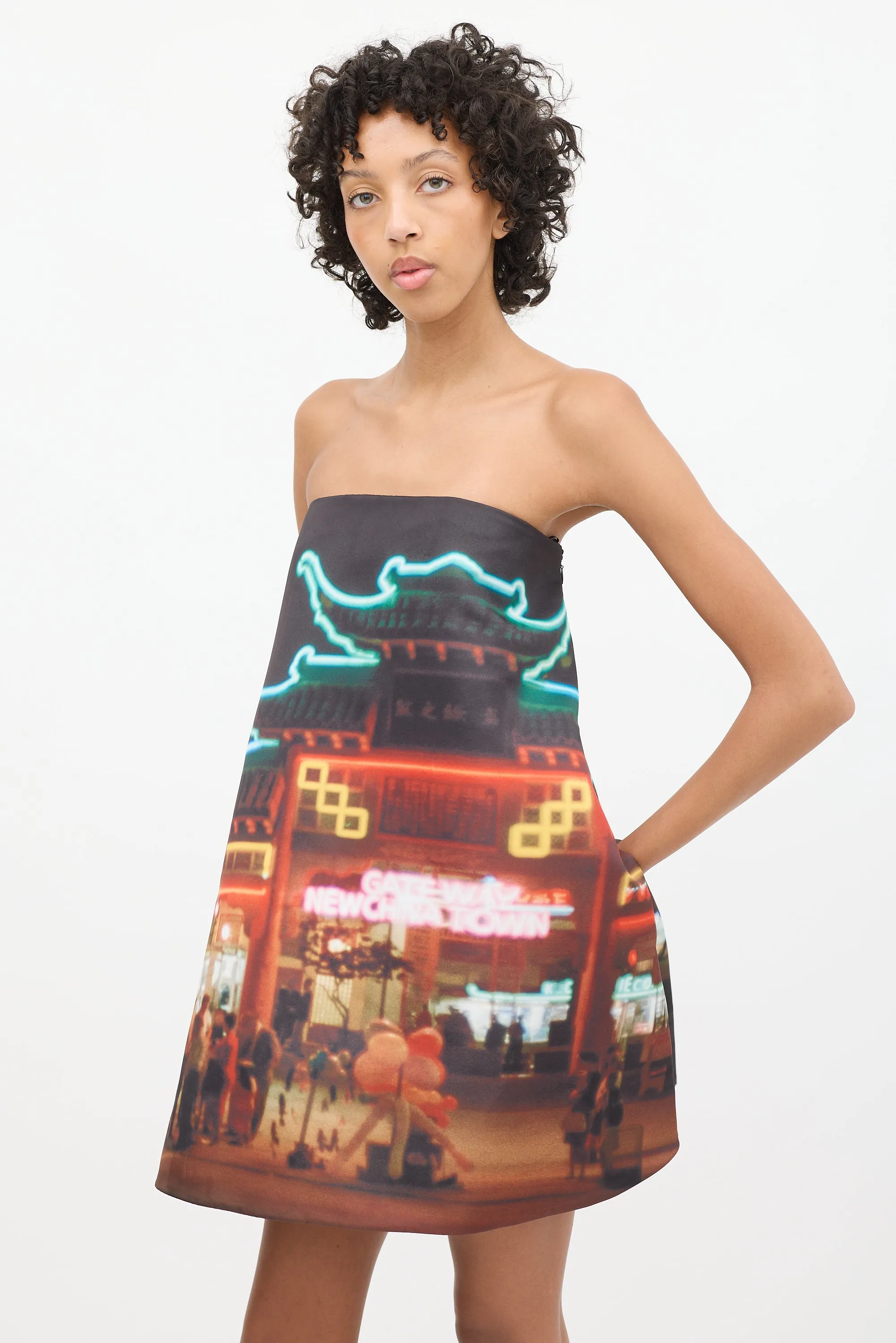 Black & Multicolour Printed Gateway Trapeze Dress