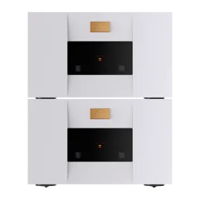 Goldmund TELOS 1800 Mono Power Amplifier