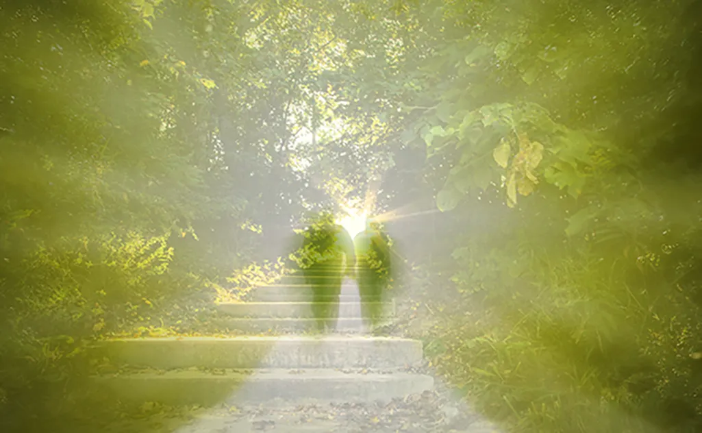 Lifting the Veil