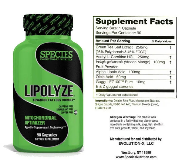Lipolyze