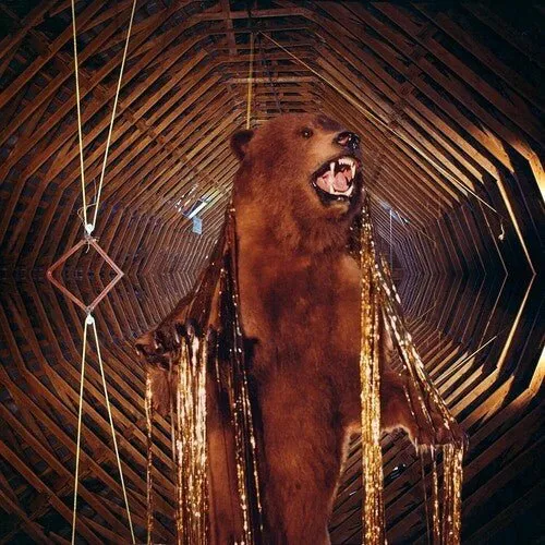 My Morning Jacket - It Still Moves [Golden Smoke 2 LP]  (New Vinyl LP)